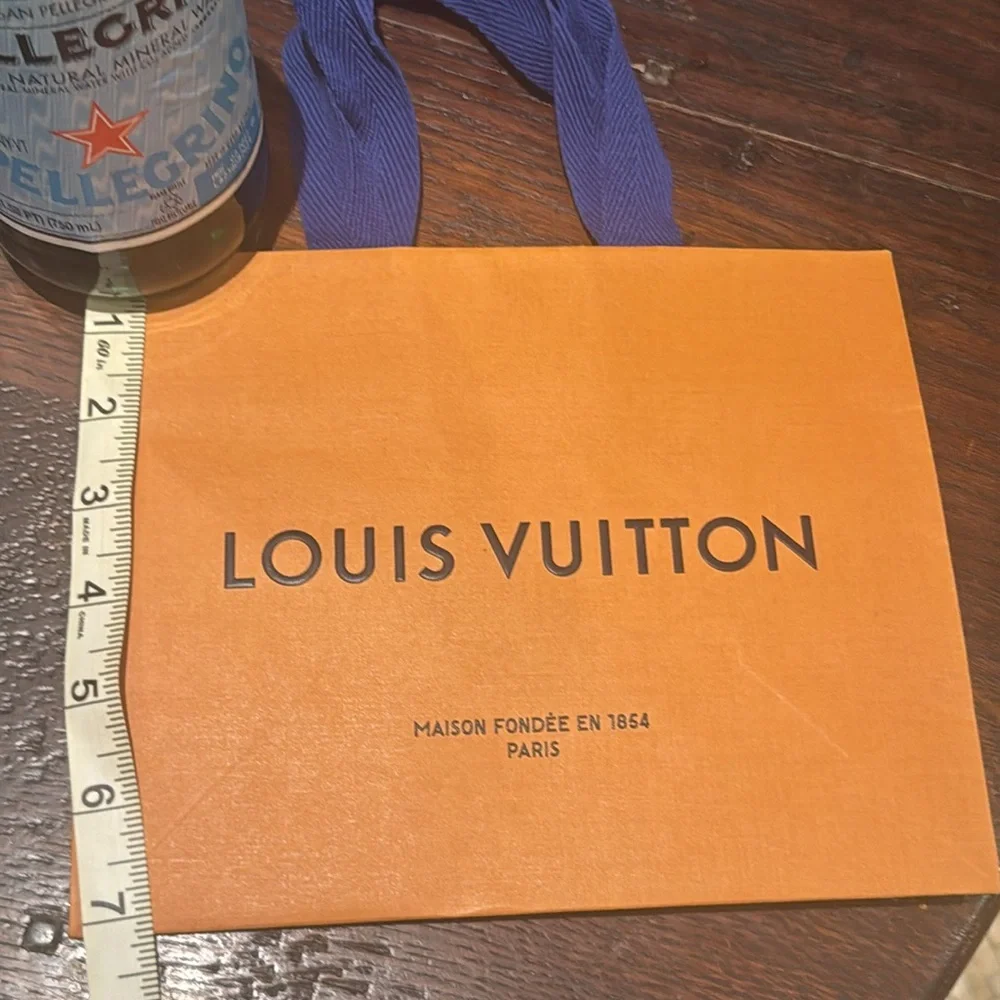 Louis Vuitton shopping bag